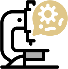 Education Sector Services